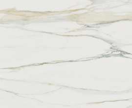 Керамогранит Rex Ceramiche 753298 I Classici Calacatta Gold Matte Ret 60x60