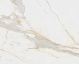 Керамогранит Pamesa Calacata Gold Leviglass Rect. 120x120