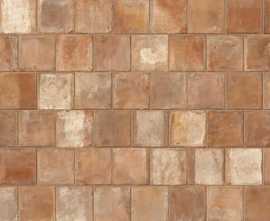 Керамогранит Imola Ceramica TCOT TOS18 20 20x20