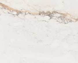 Керамогранит Pamesa Cr.Pisa Gold Compacglass Rect 60x60