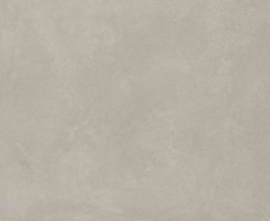 Керамогранит Imola Ceramica RTN6 CENER12 RM 60x120