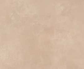 Керамогранит Imola Ceramica RTN6 TERRA12 RM 60x120