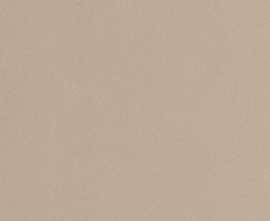 Керамогранит Imola Ceramica PRTU 60B RM PARADE 60x60