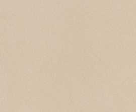 Керамогранит Imola Ceramica PRTU 60A RM PARADE 60x60