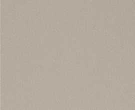 Керамогранит Imola Ceramica PRTU 120AG LV PARADE 120x120