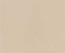 Керамогранит Imola Ceramica PRTU 120A RM PARADE 120x120
