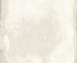 Керамогранит Imola Ceramica ORIGINI 60W RM 60x60