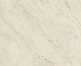 Керамогранит Imola Ceramica MACCHIAAP.1WLP 120x120