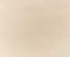 Керамогранит Imola Ceramica Micron 2.0 120A 120x120
