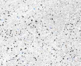 Керамогранит Codicer Robson WHITE 66x66