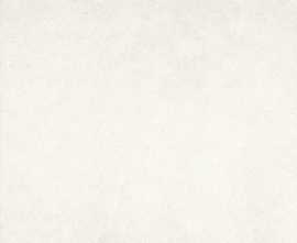 Керамогранит Marazzi Italy MKGC Pietra Di Noto Bianco Rett. Lux 60x60