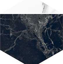 Villeroy&Boch 2043ZN9P Декор Nocturne Black FLPR 20х23