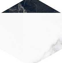 Villeroy&Boch 2043ZN1P Декор Nocturne White FLPR 20х23