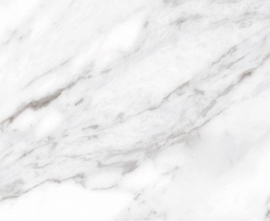 Керамогранит Ceracasa North Gloss White 49.1x98.2