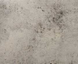 Керамогранит Ceracasa Evolution Gris 49.1x98.2