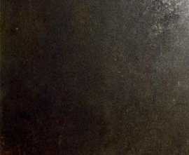 Керамогранит Ceracasa EVOLUTION BRONCE 49.1x49.1
