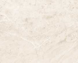 Керамогранит Ceracasa VERMONT bone rect. 49,1*49,1