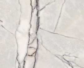 Керамогранит Ariana Ceramica PF60009348 Lilac White 60x60