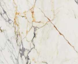 Керамогранит Ariana Ceramica PF60009346 EPOQUE 21 ARABESCATO ANT R 60x60