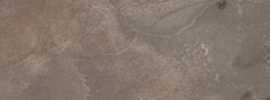 Керамогранит Ariana Ceramica PF60004412 Epoque Brown Ret 10X60