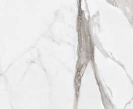 Керамогранит Ariana Ceramica PF60004974 Epoque White Statuario Lap 60X120