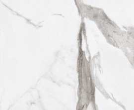 Керамогранит Ariana Ceramica PF60004976 Epoque White Statuario Ret 60X60