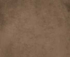 Керамогранит Ariana Ceramica 0002908 WORN COPPER ret 60x60