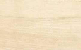 Керамогранит Cerdomus 72999 Antique Ivory Fondi Nat.Rettificat 20x120