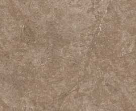 Керамогранит Cerdomus Dynasty Forest 40*40