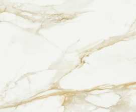 Керамогранит STN Ceramica P.E. Pul. Camile gold rect. 120x120