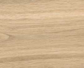 Керамогранит Absolut Gres AB 1161W Wildwood Natural 1200x200