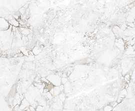 Керамогранит Absolut Gres AB1208G Rossalia Natural Gloss 600x600