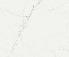 Керамогранит Fanal NEW ICE WHITE 90*90