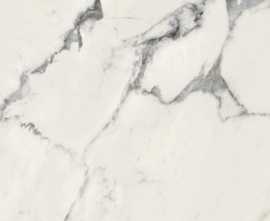 Керамогранит Ceramiche Piemme 03913 MAJESTIC PURE GLORIOUS ARABESCATO N/R 60x60