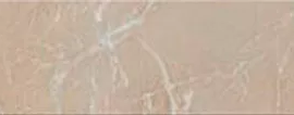 Плинтус Cristacer Rodapie Constanza Beige 8x60