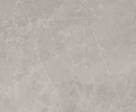 Керамогранит Baldocer Bayona Silver Pulido 120x120