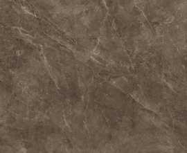Керамогранит Baldocer Bayona Moka Pulido 120x120
