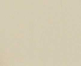 Керамогранит Baldocer Helton Bone Pulido Rect 120x120