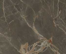 Керамогранит Baldocer Riscal Brown Pulido 120x120
