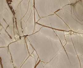 Керамогранит Casa Dolce Casa 774717 Nature Mood Rainforest Glossy RT 6mm 120x280