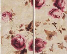 Marca Corona Декор Petite Avorio Rose (комп/2шт) 20х30