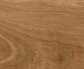 Керамогранит Ecoceramic Tasmania Teak 20x120