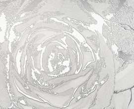 Декор Brennero Dec.Omnia white silver 60*120