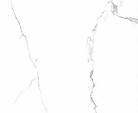 Керамогранит Fakhar 4310 GLOSSY CALCATTA 60*60