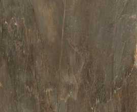Керамогранит Sina Tile 8936 Pipa Brown Sugar 60x120