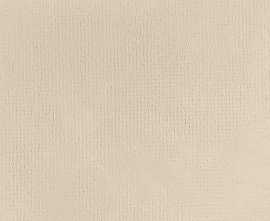 Керамогранит LEONARDO 1502 FACT 377W RM 37,5x75