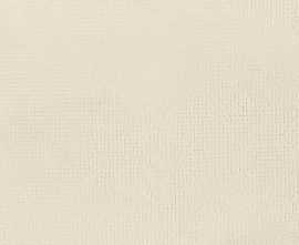 Керамогранит LEONARDO 1502 FACT 12W RM 60x120