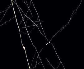 Керамогранит Casati Ceramica Nero Marquina HG 60x60