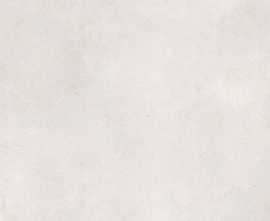 Керамогранит Harmony 3386037344 Bayamo White R10 22.3x22.3