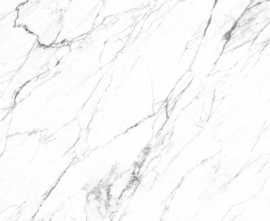 Керамогранит Roca FPK00MQ011 LM STATUARIO MC 100X200